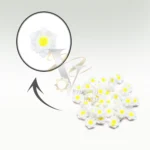 دیزاین ژورنالی ناخن طرح گل